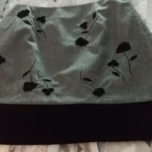 Ann Taylor skirt